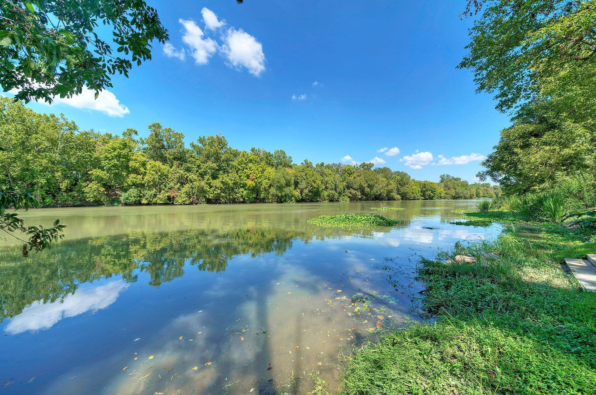 Trees reflected in the Colorado River on a sunny day in Cedar Creek, Texas